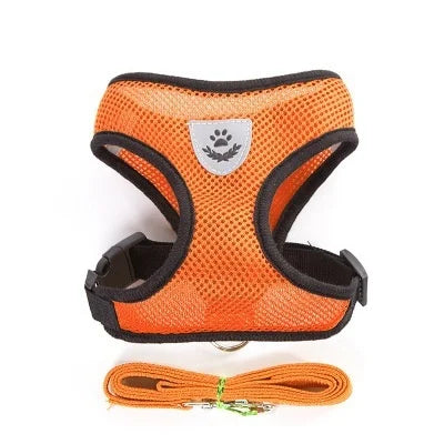 Harnais réglable pour chien et chat avec laisse