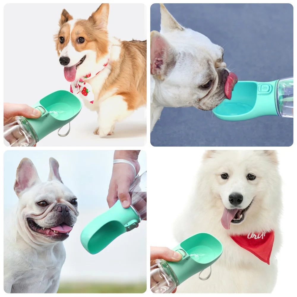Gourde portable pour chien et chat – Bouteille d’eau de voyage