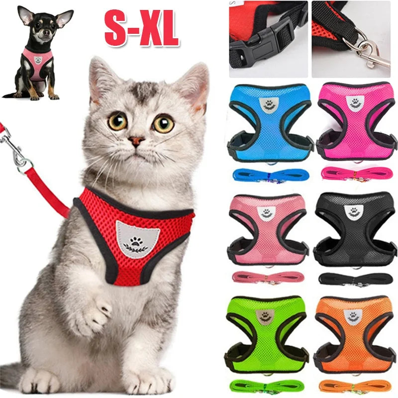 Harnais réglable pour chien et chat avec laisse