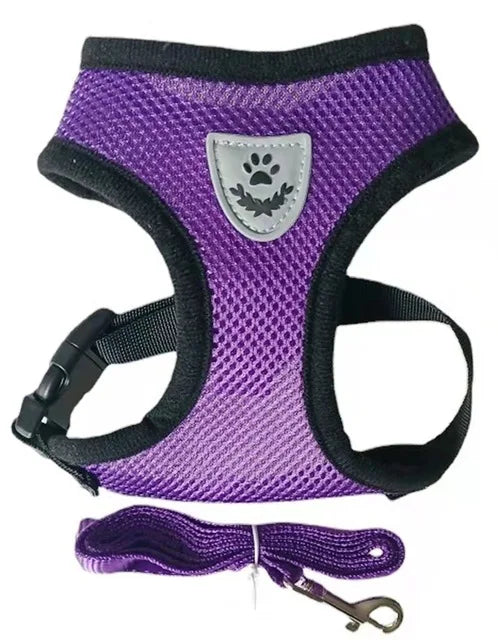 Harnais réglable pour chien et chat avec laisse