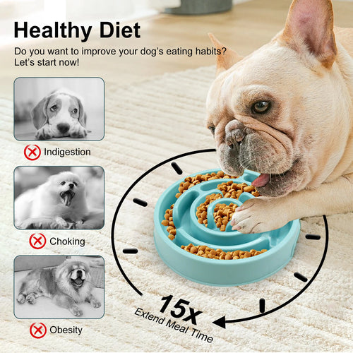 Gamelle anti-glouton pour chien – Bol à alimentation lente